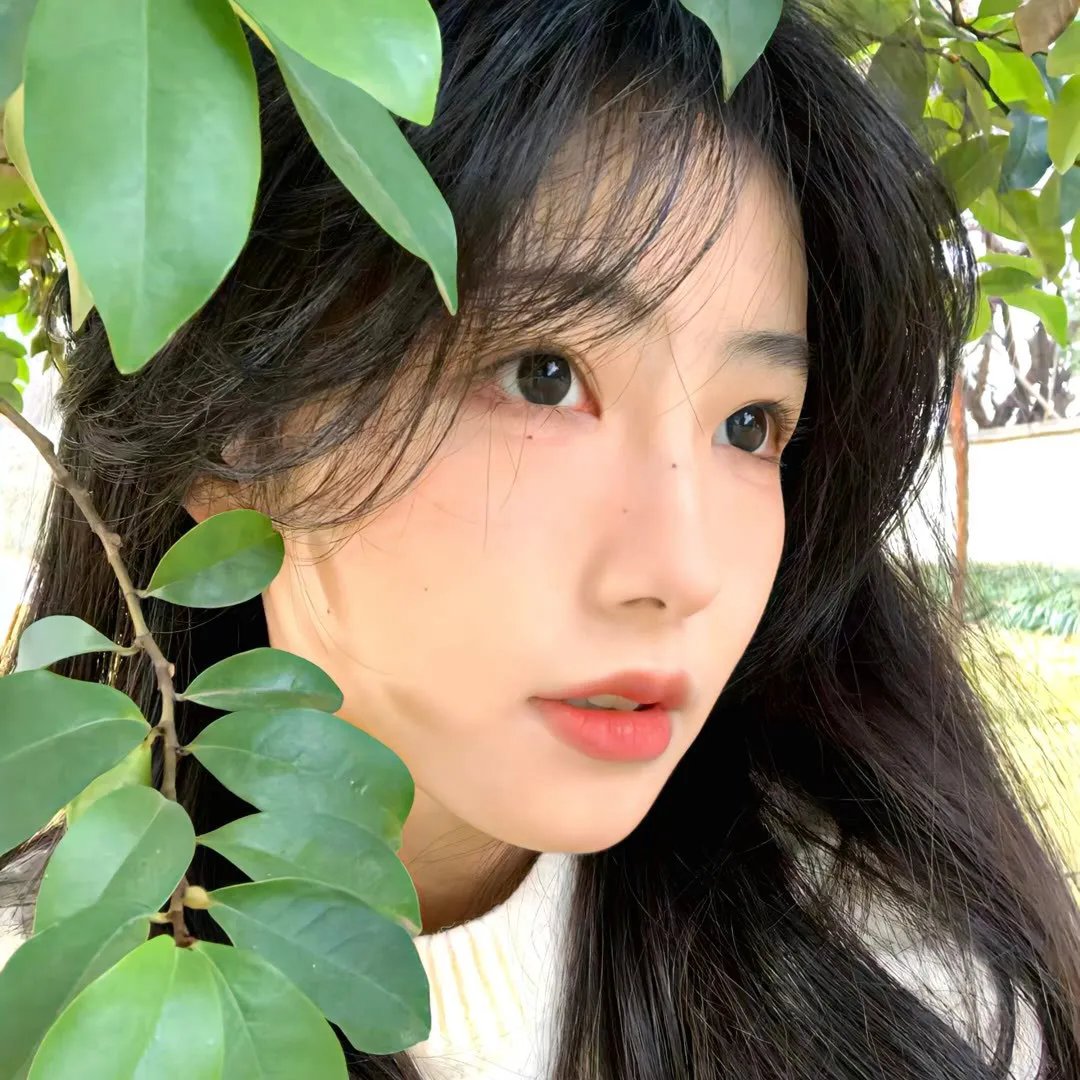 花繁叶茂